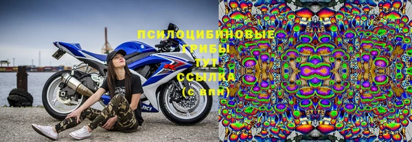 эйфоретик Кулебаки