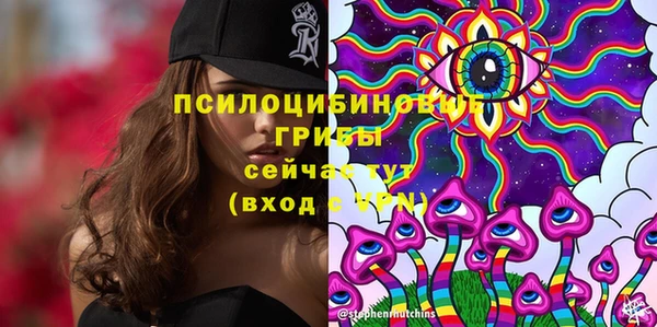 первитин Кострома