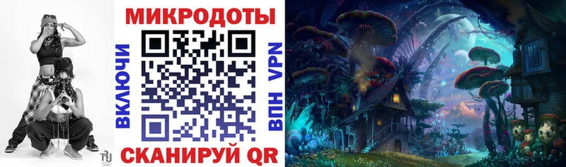 Галлюциногенные грибы Cubensis  Вытегра 